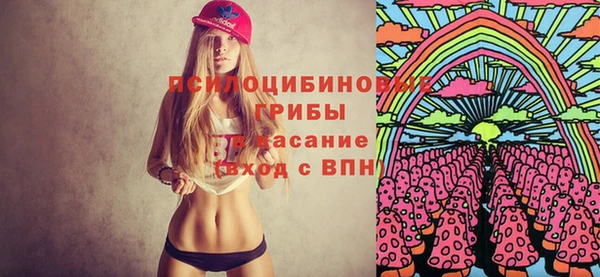 винт Аркадак