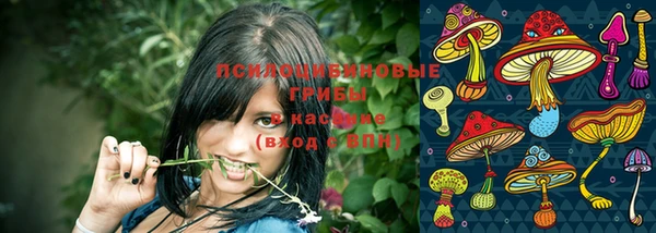 первитин Армянск